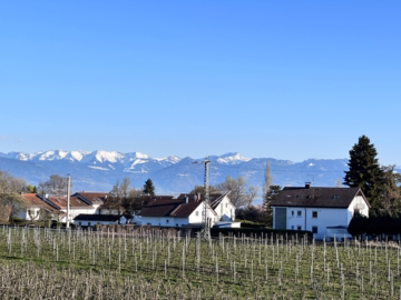 Großzügige 3,5 Zimmer-Wohnung in Nonnenhorn am Bodensee, 88149 Nonnenhorn, Wohnung